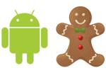 Android Robot and Gingerbread